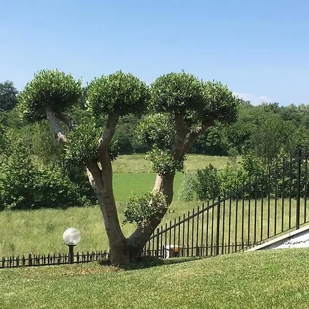 Villa Elisa Relax *